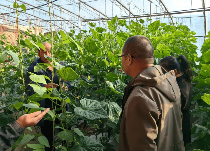 農資行業商業模式揭秘：不靠賣農資產品，靠會員年入百萬