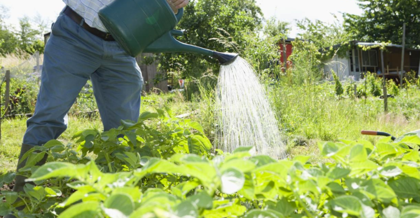 我國有機(jī)肥行業(yè)發(fā)展前景廣闊，但尚未形成工業(yè)化規(guī)模生產(chǎn)，產(chǎn)業(yè)轉(zhuǎn)型升級(jí)成發(fā)展必然