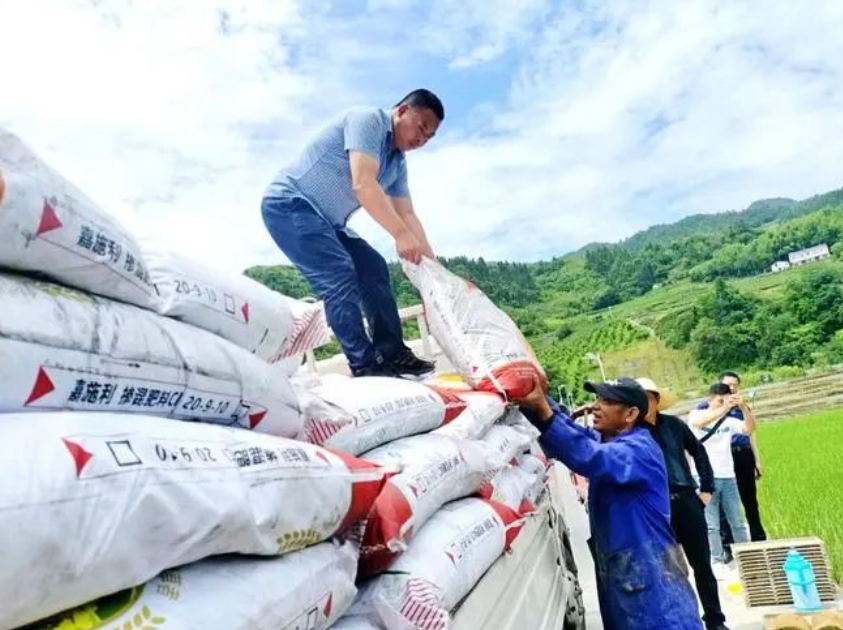 【農(nóng)資行業(yè)】2025年農(nóng)資行業(yè)的兩極分化：如何在變革中脫穎而出？