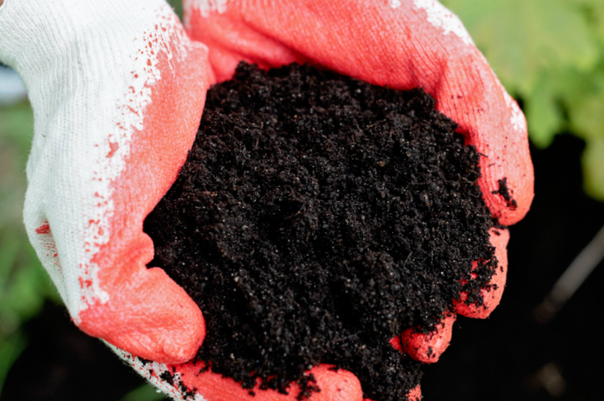 【有機肥產業】歐洲生物有機肥料市場研究報告（2025-2033）