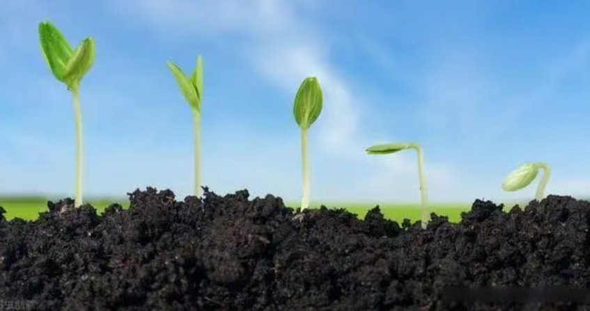 【有機(jī)肥行業(yè)】一文搞懂生物有機(jī)肥