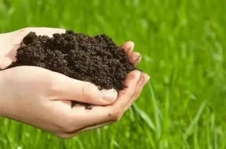 【生物肥料】2025年，生物有機(jī)肥將成為綠色農(nóng)業(yè)的重要推動(dòng)力！