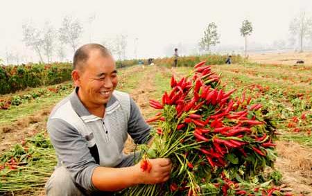 農資人要懂點什么樣的銷售心理學？