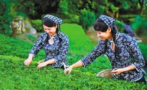 農(nóng)資企業(yè)打造好品牌的五大秘訣