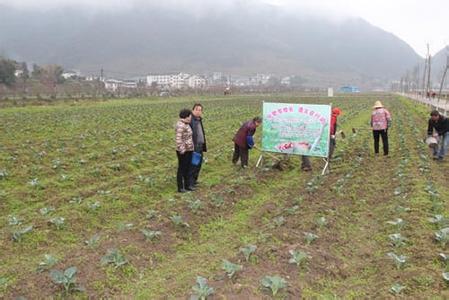 農(nóng)業(yè)部又將部署新行動　有機(jī)肥這次真的要上天了