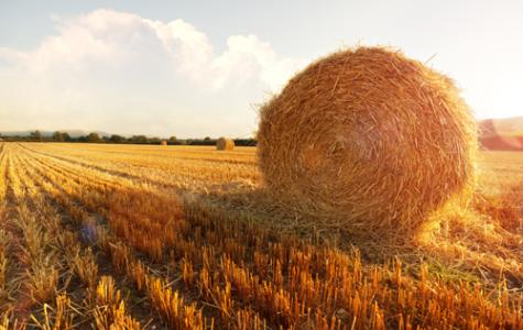 厲害了我的老司機， 一言不合就講透了未來10年農資發展路!