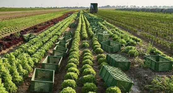 QQ圖片20171016100036 4.png