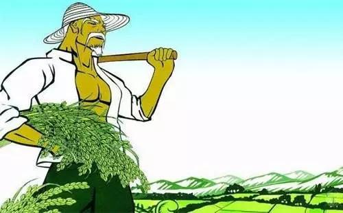 微信圖片_20171127095447 8.jpg