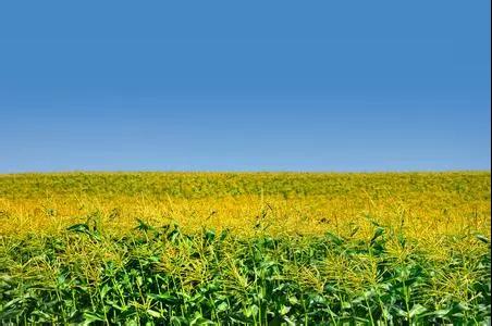 微信圖片_20171127095343 1.jpg