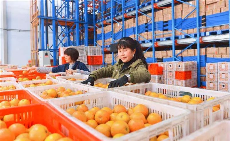 【產業透視】農村商貿流通破解方法（附3條洞察 ）