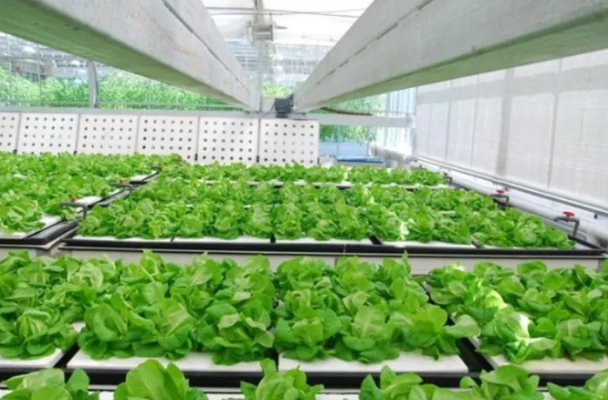 政策助推！9大鄉村產業引爆中國農業格局巨變