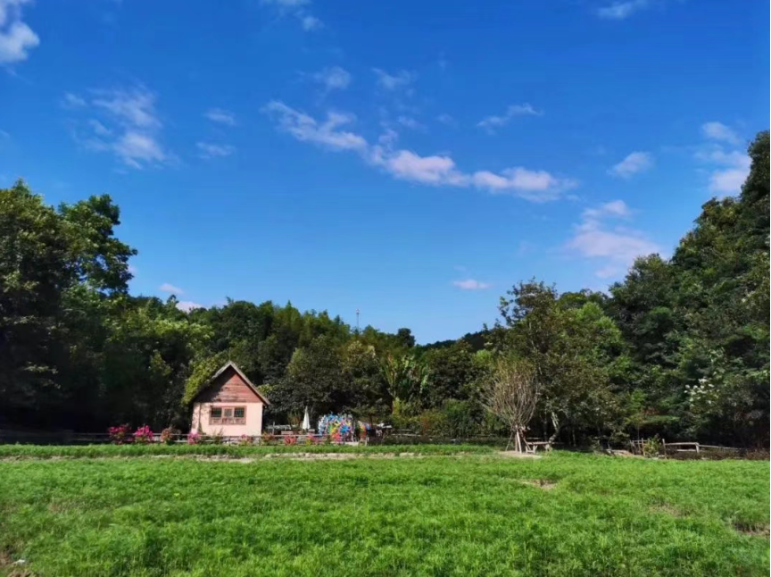 解鎖鄉村振興新姿勢：10大運營模式大盤點