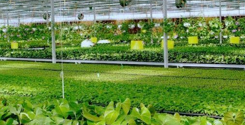 美國農(nóng)業(yè)物聯(lián)網(wǎng)的經(jīng)驗，哪些值得我國借鑒？