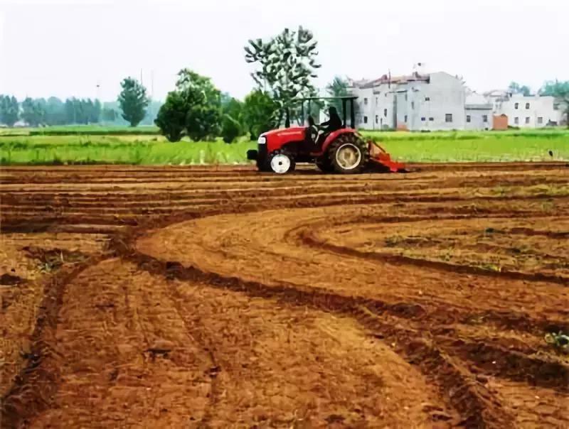 農(nóng)業(yè)產(chǎn)業(yè)周報(bào)|（2018.10.12—2018.10.28）