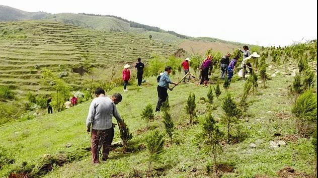 三農日報|我國每年進口9000萬噸轉基因大豆；我國將推進數字農業與種養殖業融合