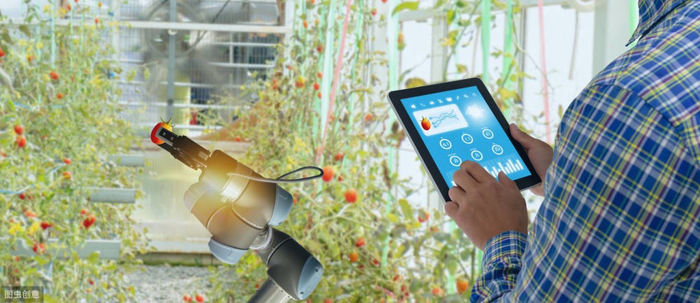 數字農業是大勢所趨，但農業物聯網為什么發展這么慢，未來如何發力