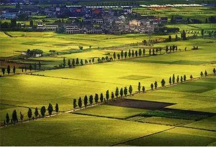 未來農(nóng)業(yè)將向這8個(gè)方向發(fā)展，都是機(jī)遇