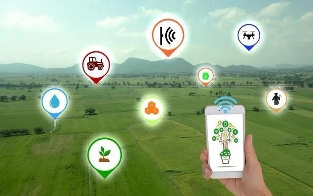 數(shù)字農(nóng)業(yè)：物聯(lián)網(wǎng)、大數(shù)據(jù)的下一個(gè)戰(zhàn)場(chǎng)