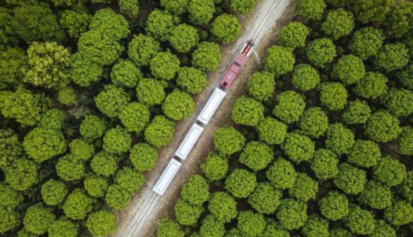 行業(yè)研究|數(shù)字農(nóng)業(yè)如何破解傳統(tǒng)農(nóng)業(yè)發(fā)展瓶頸？