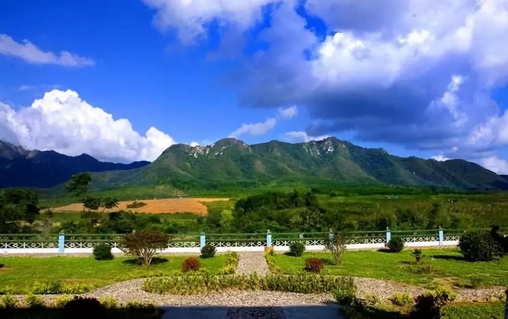 三農(nóng)日?qǐng)?bào)|國(guó)家再提大豆振興計(jì)劃；物聯(lián)網(wǎng)技術(shù)農(nóng)業(yè)應(yīng)用價(jià)值巨大