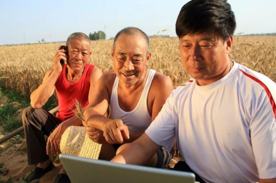 區(qū)塊鏈在農(nóng)業(yè)領(lǐng)域有哪些用途？