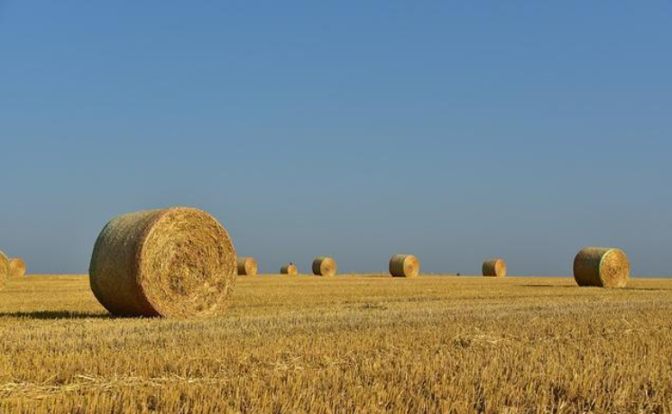 農(nóng)業(yè)創(chuàng)新企業(yè)家們帶來農(nóng)業(yè)科技八大創(chuàng)新趨勢(shì)