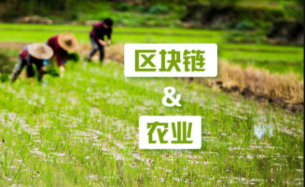 讓農(nóng)業(yè)迎接新變革 徐明星談“區(qū)塊鏈+農(nóng)業(yè)”