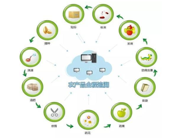 “區(qū)塊鏈”助力數(shù)字農(nóng)業(yè)彎道超車，促進(jìn)智慧農(nóng)業(yè)生態(tài)發(fā)展