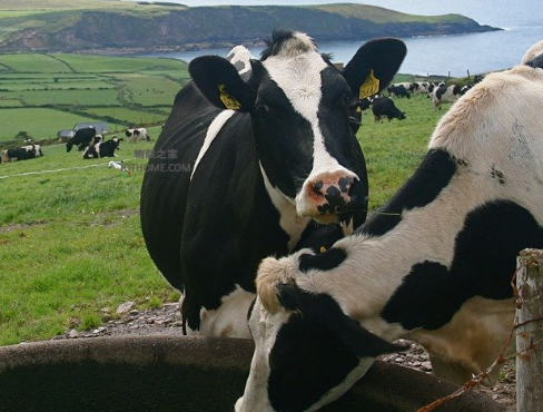 物聯(lián)網(wǎng)應(yīng)用于農(nóng)業(yè)中的好處是什么