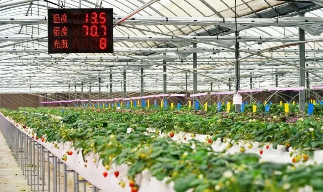 【干貨總結】如何做好現代農業園區運營？