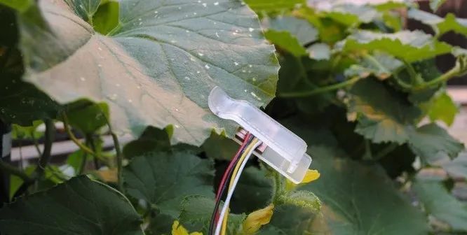 【產業分析】淺談物聯網農業傳感器的三大未來發展趨勢