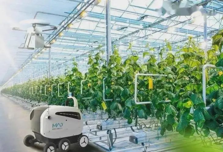 【數(shù)字農(nóng)業(yè)】數(shù)字農(nóng)業(yè)的發(fā)展趨勢與推進(jìn)路徑