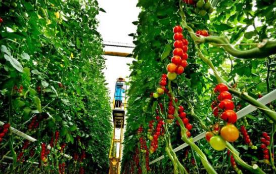 三農日報|政策：推廣一批生態農業技術模式；冷知識！農業物聯網三大優勢