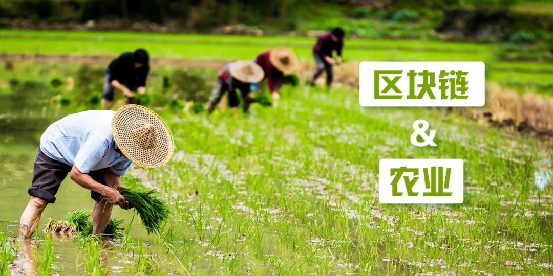 區塊鏈+農業，能夠爆發什么機會