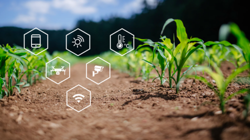 區塊鏈+農業，能夠爆發哪些創業機會