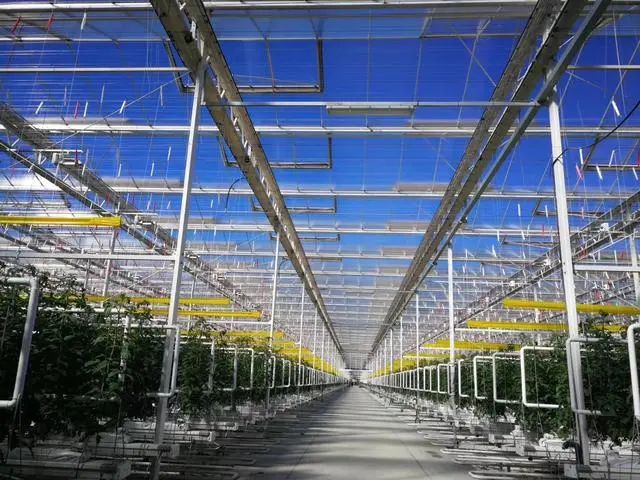 【農業科技】農業物聯網：7個智慧農業使用案例