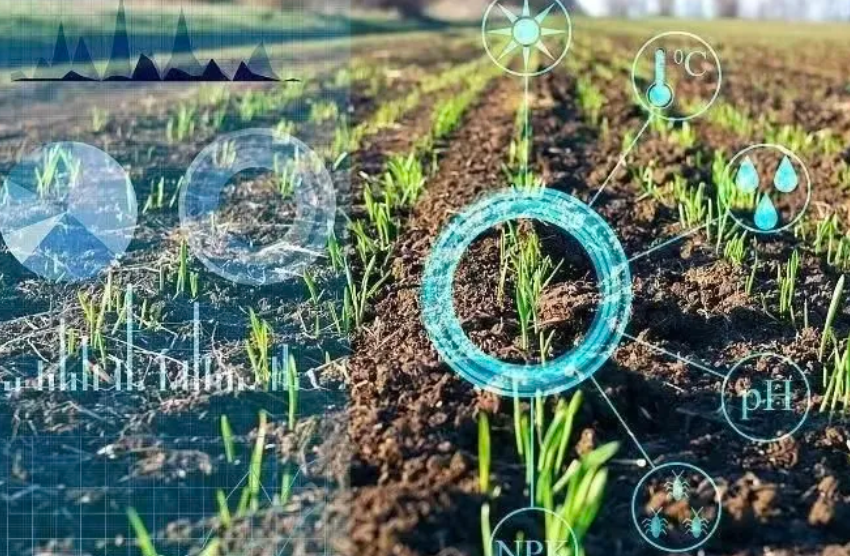 李道亮教授：智慧技術與物聯網技術如何升級農業