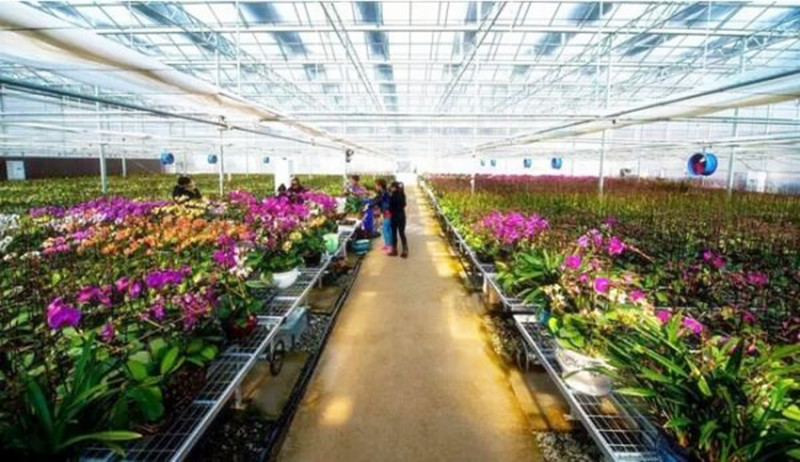 三農(nóng)日?qǐng)?bào)|新型農(nóng)業(yè)主體獲“救災(zāi)貸”；農(nóng)業(yè)發(fā)展“心病”凸現(xiàn)；新零售成生鮮電商救世主