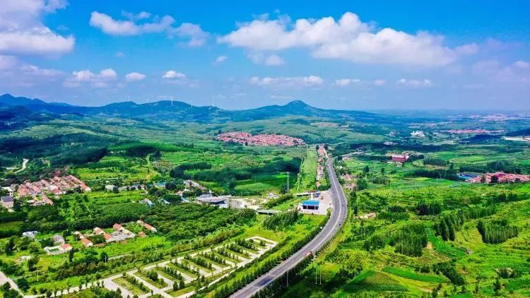 【鄉村振興】 鄉村振興標準化行動方案