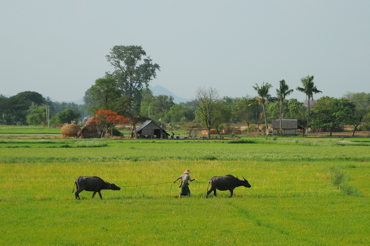 2016年農(nóng)村三大紅利，是不是農(nóng)村人都要看