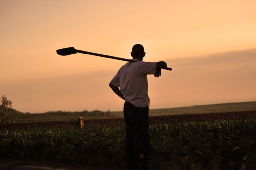 農村青年不愿種地，教你10招土地“升值”方法!