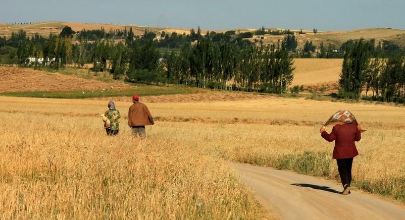 除了土地、戶口之外，農民一般談論啥?