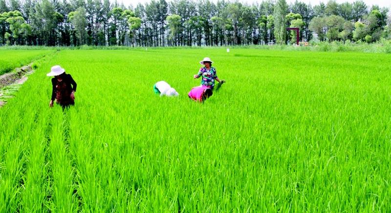 沒有錢農(nóng)民活不下去?這些才是農(nóng)民真正的“財產(chǎn)”...