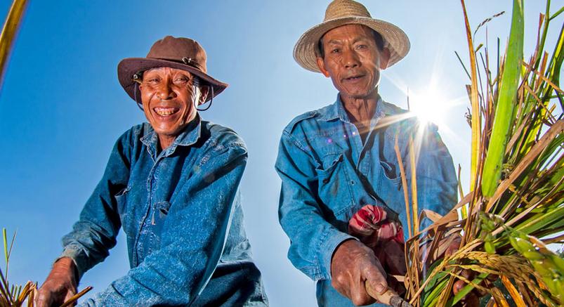 未來農(nóng)村這些人將要“賺大錢”，有你嗎