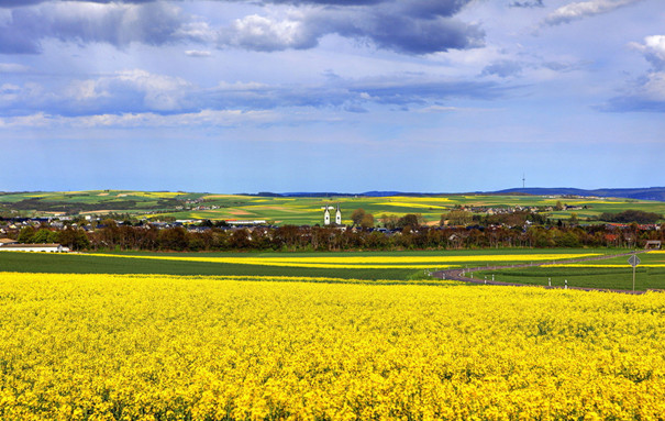兩會透露出哪些商機？2017年最火的7大農業行業