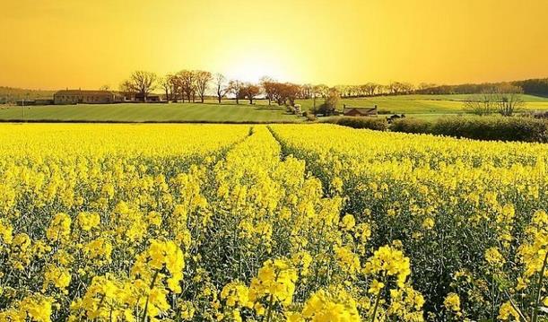 父子創業的5個故事！值得農創人學習