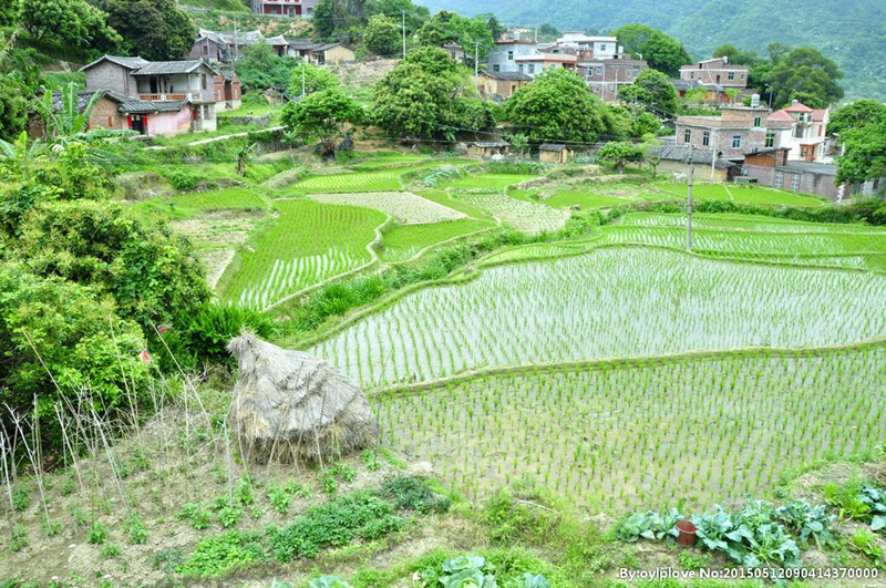 2017農(nóng)村宅基地出新變：農(nóng)民建房難、宅基地將會被回收