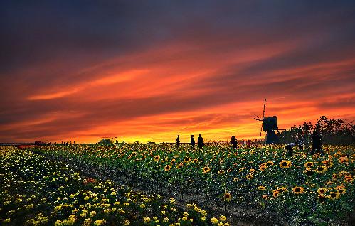 三農(nóng)日報|農(nóng)村低保已達(dá)國家標(biāo)；專家：2018做農(nóng)業(yè)10條紅線不能碰