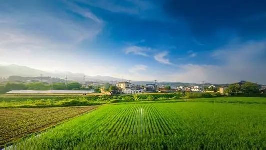 鄉村振興23個領域！值得收藏