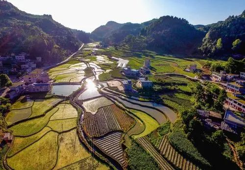 【報(bào)告分析】2022中國(guó)農(nóng)業(yè)農(nóng)村發(fā)展趨勢(shì)報(bào)告出爐，未來(lái)農(nóng)業(yè)發(fā)展方向在哪里？